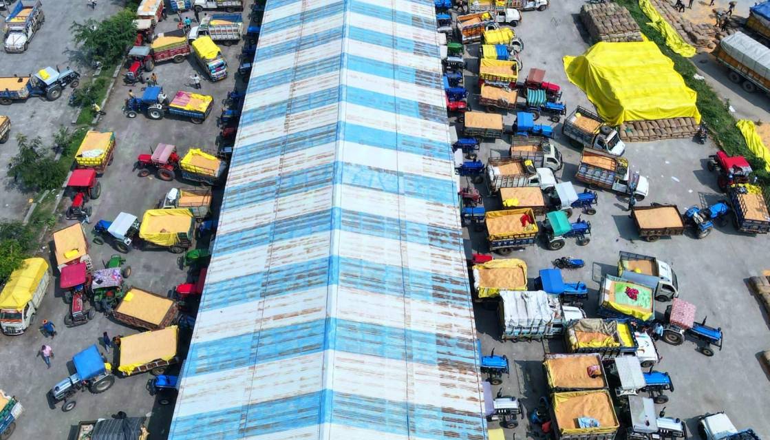  मंडी यार्ड में नीलामी व्यवस्था